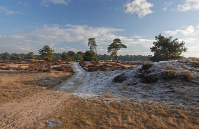 <i class='fa fa-user'></i>&nbsp;nelappelmelk&nbsp;|  Winters landschap&nbsp; <i class='fa fa-eye'>&nbsp;111</i> &nbsp;<i class='fa fa-thumbs-up'>&nbsp;1</i> &nbsp; <i class='fa fa-comment-o'>&nbsp;8</i>