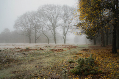 <i class='fa fa-user'></i>&nbsp;ErnovanDoorn&nbsp;|  Bosrand Deelerwoud&nbsp; <i class='fa fa-eye'>&nbsp;104</i> &nbsp; <i class='fa fa-comment-o'>&nbsp;5</i>