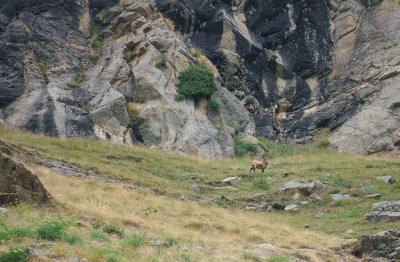 <i class='fa fa-user'></i>&nbsp;Jurgen Maassen&nbsp;|  Gems&nbsp; <i class='fa fa-eye'>&nbsp;183</i> &nbsp;<i class='fa fa-thumbs-up'>&nbsp;3</i> &nbsp; <i class='fa fa-comment-o'>&nbsp;4</i>