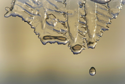 <i class='fa fa-user'></i>&nbsp;Nel R&nbsp;|  Smeltend ijs&nbsp; <i class='fa fa-eye'>&nbsp;101</i> &nbsp;<i class='fa fa-thumbs-up'>&nbsp;18</i> &nbsp; <i class='fa fa-comment-o'>&nbsp;13</i>