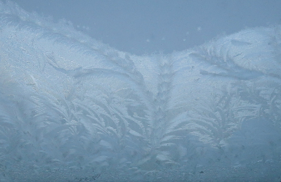 <i class='fa fa-user'></i>&nbsp;rixte&nbsp;|  IJsbloemen&nbsp; <i class='fa fa-eye'>&nbsp;79</i> &nbsp;<i class='fa fa-thumbs-up'>&nbsp;1</i> &nbsp; <i class='fa fa-comment-o'>&nbsp;9</i>