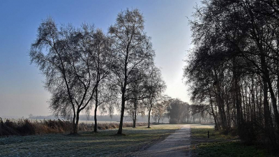 <i class='fa fa-user'></i>&nbsp;kooyammers&nbsp;|  Winter in het Loetbos&nbsp; <i class='fa fa-eye'>&nbsp;63</i> &nbsp;<i class='fa fa-thumbs-up'>&nbsp;1</i> &nbsp; <i class='fa fa-comment-o'>&nbsp;2</i>