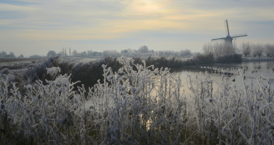 <i class='fa fa-user'></i>&nbsp;B.M.Schouten-Ruis&nbsp;|  Het Doove Gat&nbsp; <i class='fa fa-eye'>&nbsp;107</i> &nbsp;<i class='fa fa-thumbs-up'>&nbsp;4</i> &nbsp; <i class='fa fa-comment-o'>&nbsp;8</i>