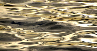 <i class='fa fa-user'></i>&nbsp;B.M.Schouten-Ruis&nbsp;|  Weerspiegeling in het water van de Kralingse Plas&nbsp; <i class='fa fa-eye'>&nbsp;74</i> &nbsp;<i class='fa fa-thumbs-up'>&nbsp;2</i> &nbsp; <i class='fa fa-comment-o'>&nbsp;3</i>