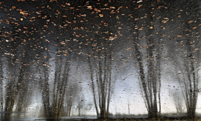 <i class='fa fa-user'></i>&nbsp;liesbeth van vliet&nbsp;|  Landschapje van Elzen in ijs&nbsp; <i class='fa fa-eye'>&nbsp;113</i> &nbsp;<i class='fa fa-thumbs-up'>&nbsp;7</i> &nbsp; <i class='fa fa-comment-o'>&nbsp;11</i>