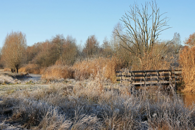 <i class='fa fa-user'></i>&nbsp;Tineke Strijbosch&nbsp;|  Winterlandschap&nbsp; <i class='fa fa-eye'>&nbsp;79</i> &nbsp;<i class='fa fa-thumbs-up'>&nbsp;2</i> &nbsp; <i class='fa fa-comment-o'>&nbsp;6</i>