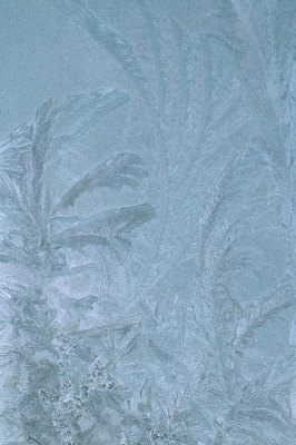 <i class='fa fa-user'></i>&nbsp;rixte&nbsp;|  IJsbloemen&nbsp; <i class='fa fa-eye'>&nbsp;73</i> &nbsp;<i class='fa fa-thumbs-up'>&nbsp;2</i> &nbsp; <i class='fa fa-comment-o'>&nbsp;3</i>