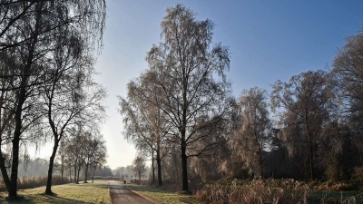 <i class='fa fa-user'></i>&nbsp;kooyammers&nbsp;|  Zonnige Winter&nbsp; <i class='fa fa-eye'>&nbsp;62</i> &nbsp;<i class='fa fa-thumbs-up'>&nbsp;1</i> &nbsp; <i class='fa fa-comment-o'>&nbsp;2</i>