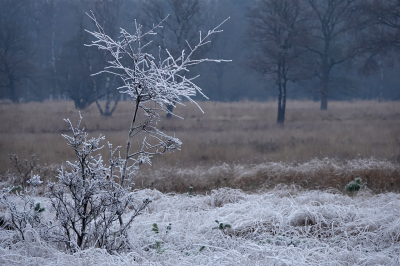 <i class='fa fa-user'></i>&nbsp;nelappelmelk&nbsp;|  Laatste stukje rijp&nbsp; <i class='fa fa-eye'>&nbsp;96</i> &nbsp; <i class='fa fa-comment-o'>&nbsp;7</i>