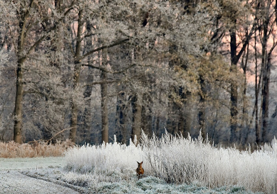 <i class='fa fa-user'></i>&nbsp;robert-jan&nbsp;|  Ree&nbsp; <i class='fa fa-eye'>&nbsp;163</i> &nbsp; <i class='fa fa-comment-o'>&nbsp;1</i>