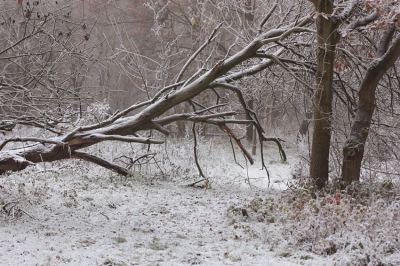 <i class='fa fa-user'></i>&nbsp;Paul Vandebroek&nbsp;|  Winter&nbsp; <i class='fa fa-eye'>&nbsp;78</i> &nbsp;<i class='fa fa-thumbs-up'>&nbsp;4</i> &nbsp; <i class='fa fa-comment-o'>&nbsp;5</i>