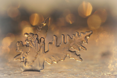 <i class='fa fa-user'></i>&nbsp;Nel R&nbsp;|  IJstijd&nbsp; <i class='fa fa-eye'>&nbsp;126</i> &nbsp;<i class='fa fa-thumbs-up'>&nbsp;19</i> &nbsp; <i class='fa fa-comment-o'>&nbsp;18</i>