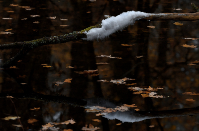 <i class='fa fa-user'></i>&nbsp;Eric Gibcus&nbsp;|  IJshaar&nbsp; <i class='fa fa-eye'>&nbsp;78</i> &nbsp; <i class='fa fa-comment-o'>&nbsp;1</i>