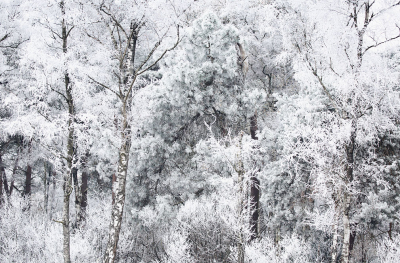 <i class='fa fa-user'></i>&nbsp;Pieter  LJ&nbsp;|  Rijp&nbsp; <i class='fa fa-eye'>&nbsp;103</i> &nbsp;<i class='fa fa-thumbs-up'>&nbsp;2</i> &nbsp; <i class='fa fa-comment-o'>&nbsp;6</i>