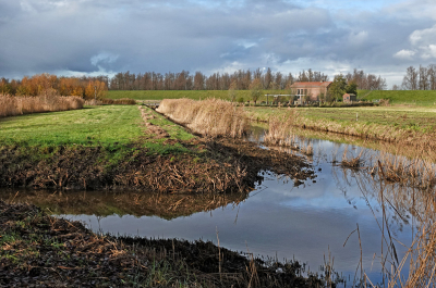 <i class='fa fa-user'></i>&nbsp;nelappelmelk&nbsp;|  Eilandje met gemaal&nbsp; <i class='fa fa-eye'>&nbsp;95</i> &nbsp; <i class='fa fa-comment-o'>&nbsp;3</i>