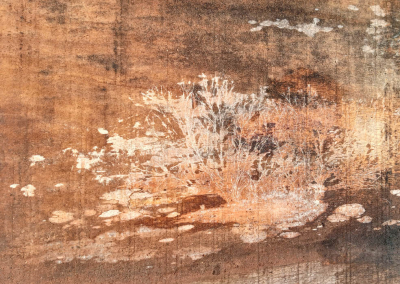 <i class='fa fa-user'></i>&nbsp;corbins&nbsp;|  Schimmel op eikenhout&nbsp; <i class='fa fa-eye'>&nbsp;90</i> &nbsp;<i class='fa fa-thumbs-up'>&nbsp;5</i> &nbsp; <i class='fa fa-comment-o'>&nbsp;9</i>