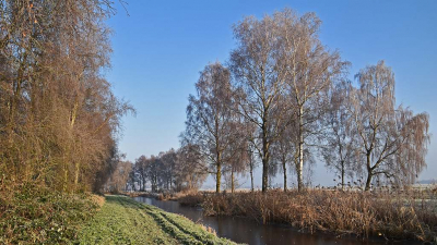 <i class='fa fa-user'></i>&nbsp;kooyammers&nbsp;|  Winterse Bomen&nbsp; <i class='fa fa-eye'>&nbsp;67</i> &nbsp; <i class='fa fa-comment-o'>&nbsp;2</i>