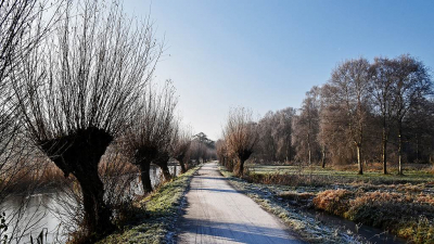 <i class='fa fa-user'></i>&nbsp;kooyammers&nbsp;|  Knotwilgen.&nbsp; <i class='fa fa-eye'>&nbsp;82</i> &nbsp;<i class='fa fa-thumbs-up'>&nbsp;1</i> &nbsp; <i class='fa fa-comment-o'>&nbsp;2</i>