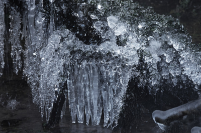 <i class='fa fa-user'></i>&nbsp;nelappelmelk&nbsp;|  Parels in de spreng&nbsp; <i class='fa fa-eye'>&nbsp;90</i> &nbsp;<i class='fa fa-thumbs-up'>&nbsp;3</i> &nbsp; <i class='fa fa-comment-o'>&nbsp;3</i>