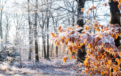 <i class='fa fa-user'></i>&nbsp;David&nbsp;|  Rijp&nbsp; <i class='fa fa-eye'>&nbsp;101</i> &nbsp; <i class='fa fa-comment-o'>&nbsp;3</i>