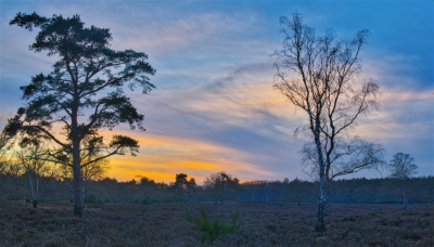<i class='fa fa-user'></i>&nbsp;janvangastel&nbsp;|  Zonsondergang Limitische heide&nbsp; <i class='fa fa-eye'>&nbsp;120</i> &nbsp; <i class='fa fa-comment-o'>&nbsp;6</i>