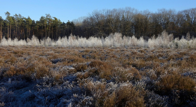 <i class='fa fa-user'></i>&nbsp;sieb&nbsp;|  Rijp&nbsp; <i class='fa fa-eye'>&nbsp;95</i> &nbsp;<i class='fa fa-thumbs-up'>&nbsp;1</i> &nbsp; <i class='fa fa-comment-o'>&nbsp;5</i>