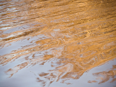 <i class='fa fa-user'></i>&nbsp;Truus Aletta Maan&nbsp;|  Riet weerspiegeld in water&nbsp; <i class='fa fa-eye'>&nbsp;68</i> &nbsp; <i class='fa fa-comment-o'>&nbsp;3</i>