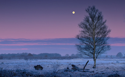 Op een onbewolkte winterochtend op zoek naar een mooie plaat van een bevroren veenlandschap. De volle maan bescheen het veen waar vrij snel tegen en zeker na zonsopkomst mist op kwam zetten