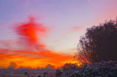 <i class='fa fa-user'></i>&nbsp;hesterb&nbsp;|  Ochtendgloren boven berijpte planten&nbsp; <i class='fa fa-eye'>&nbsp;130</i> &nbsp;<i class='fa fa-thumbs-up'>&nbsp;1</i> &nbsp; <i class='fa fa-comment-o'>&nbsp;2</i>