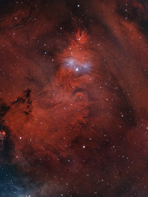 <i class='fa fa-user'></i>&nbsp;sieg&nbsp;|  Kerstboomcluster&nbsp; <i class='fa fa-eye'>&nbsp;163</i> &nbsp;<i class='fa fa-thumbs-up'>&nbsp;16</i> &nbsp; <i class='fa fa-comment-o'>&nbsp;12</i>