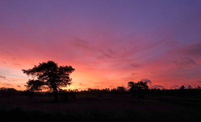 <i class='fa fa-user'></i>&nbsp;nelappelmelk&nbsp;|  Licht in de duisternis&nbsp; <i class='fa fa-eye'>&nbsp;92</i> &nbsp;<i class='fa fa-thumbs-up'>&nbsp;2</i> &nbsp; <i class='fa fa-comment-o'>&nbsp;3</i>