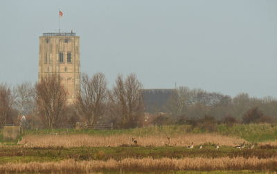 <i class='fa fa-user'></i>&nbsp;Eric Gibcus&nbsp;|  Ree&nbsp; <i class='fa fa-eye'>&nbsp;182</i> &nbsp; <i class='fa fa-comment-o'>&nbsp;8</i>