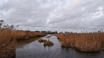 <i class='fa fa-user'></i>&nbsp;kooyammers&nbsp;|  Moeras Nespolder&nbsp; <i class='fa fa-eye'>&nbsp;72</i> &nbsp; <i class='fa fa-comment-o'>&nbsp;3</i>