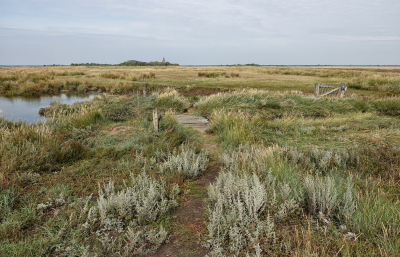 <i class='fa fa-user'></i>&nbsp;nelappelmelk&nbsp;|  Rust&nbsp; <i class='fa fa-eye'>&nbsp;116</i> &nbsp;<i class='fa fa-thumbs-up'>&nbsp;1</i> &nbsp; <i class='fa fa-comment-o'>&nbsp;4</i>