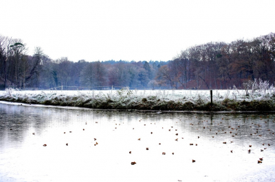 <i class='fa fa-user'></i>&nbsp;hesterb&nbsp;|  Berijpte weide&nbsp; <i class='fa fa-eye'>&nbsp;106</i> &nbsp; <i class='fa fa-comment-o'>&nbsp;4</i>