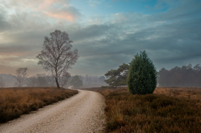 Eindelijk even mooie opklaringen in de ochtend, met zonsopkomst naar de Loenermark gereden en daar een paar mooie plaatjes kunnen schieten zonder regen.