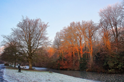 <i class='fa fa-user'></i>&nbsp;hesterb&nbsp;|  Beuken in ochtendzonnestraal&nbsp; <i class='fa fa-eye'>&nbsp;98</i> &nbsp; <i class='fa fa-comment-o'>&nbsp;3</i>