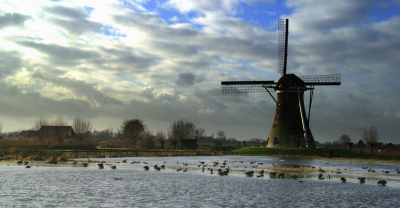 <i class='fa fa-user'></i>&nbsp;B.M.Schouten-Ruis&nbsp;|  Landschap Het Dove Gat&nbsp; <i class='fa fa-eye'>&nbsp;115</i> &nbsp;<i class='fa fa-thumbs-up'>&nbsp;2</i> &nbsp; <i class='fa fa-comment-o'>&nbsp;3</i>