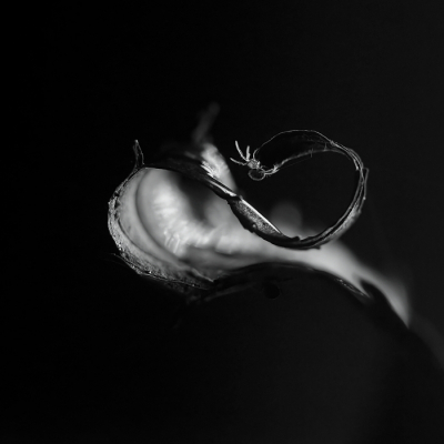 <i class='fa fa-user'></i>&nbsp;rixte&nbsp;|  Spin sp.&nbsp; <i class='fa fa-eye'>&nbsp;120</i> &nbsp;<i class='fa fa-thumbs-up'>&nbsp;9</i> &nbsp; <i class='fa fa-comment-o'>&nbsp;6</i>