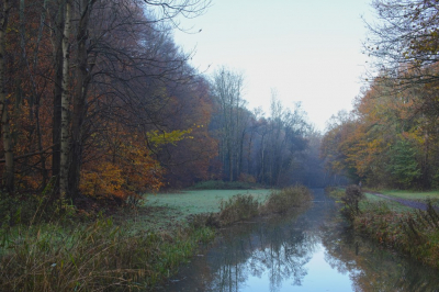 <i class='fa fa-user'></i>&nbsp;hesterb&nbsp;|  Zanderijvaart&nbsp; <i class='fa fa-eye'>&nbsp;80</i> &nbsp; <i class='fa fa-comment-o'>&nbsp;0</i>