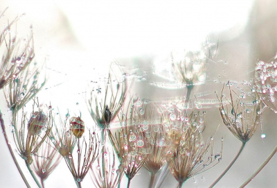 <i class='fa fa-user'></i>&nbsp;hesterb&nbsp;|  Dauweffecten&nbsp; <i class='fa fa-eye'>&nbsp;97</i> &nbsp;<i class='fa fa-thumbs-up'>&nbsp;4</i> &nbsp; <i class='fa fa-comment-o'>&nbsp;10</i>