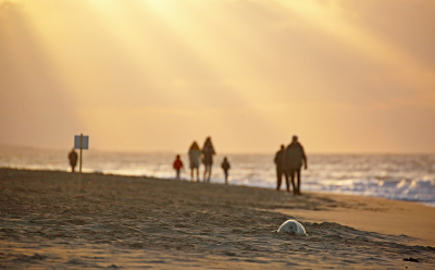 <i class='fa fa-user'></i>&nbsp;Pieter  LJ&nbsp;|  Grijze Zeehond&nbsp; <i class='fa fa-eye'>&nbsp;169</i> &nbsp;<i class='fa fa-thumbs-up'>&nbsp;3</i> &nbsp; <i class='fa fa-comment-o'>&nbsp;7</i>