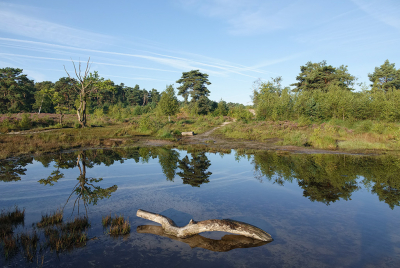 <i class='fa fa-user'></i>&nbsp;Jurgen Maassen&nbsp;|  Rode Beek&nbsp; <i class='fa fa-eye'>&nbsp;104</i> &nbsp;<i class='fa fa-thumbs-up'>&nbsp;1</i> &nbsp; <i class='fa fa-comment-o'>&nbsp;6</i>