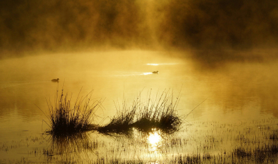 <i class='fa fa-user'></i>&nbsp;Nel R&nbsp;|  Mist&nbsp; <i class='fa fa-eye'>&nbsp;102</i> &nbsp;<i class='fa fa-thumbs-up'>&nbsp;1</i> &nbsp; <i class='fa fa-comment-o'>&nbsp;7</i>