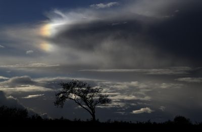 <i class='fa fa-user'></i>&nbsp;liesbeth van vliet&nbsp;|  Wolkenpartij&nbsp; <i class='fa fa-eye'>&nbsp;115</i> &nbsp;<i class='fa fa-thumbs-up'>&nbsp;2</i> &nbsp; <i class='fa fa-comment-o'>&nbsp;5</i>