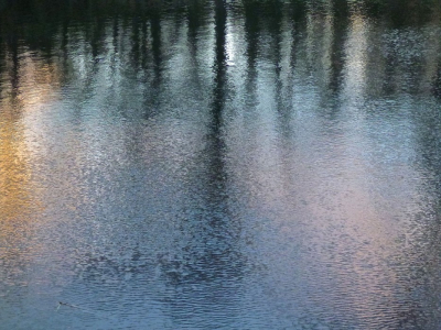 <i class='fa fa-user'></i>&nbsp;hesterb&nbsp;|  Koud&nbsp; <i class='fa fa-eye'>&nbsp;108</i> &nbsp; <i class='fa fa-comment-o'>&nbsp;9</i>