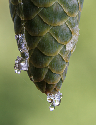 <i class='fa fa-user'></i>&nbsp;Henk Bouter&nbsp;|  Hars&nbsp; <i class='fa fa-eye'>&nbsp;97</i> &nbsp; <i class='fa fa-comment-o'>&nbsp;3</i>