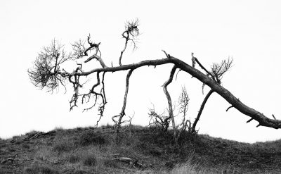 <i class='fa fa-user'></i>&nbsp;nelappelmelk&nbsp;|  Geknakt&nbsp; <i class='fa fa-eye'>&nbsp;103</i> &nbsp;<i class='fa fa-thumbs-up'>&nbsp;2</i> &nbsp; <i class='fa fa-comment-o'>&nbsp;8</i>