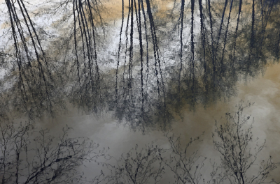 <i class='fa fa-user'></i>&nbsp;liesbeth van vliet&nbsp;|  Reflectie&nbsp; <i class='fa fa-eye'>&nbsp;106</i> &nbsp;<i class='fa fa-thumbs-up'>&nbsp;11</i> &nbsp; <i class='fa fa-comment-o'>&nbsp;12</i>