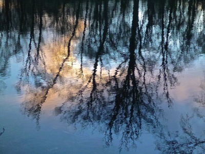 <i class='fa fa-user'></i>&nbsp;hesterb&nbsp;|  Een koude winteravond zoals deze 'in het water valt'&nbsp; <i class='fa fa-eye'>&nbsp;60</i> &nbsp; <i class='fa fa-comment-o'>&nbsp;1</i>